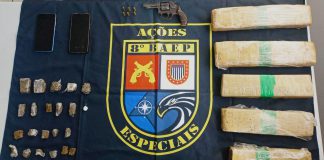 Homem de 29 anos é preso com 4,7 Kg de maconha no Parque Jabaquara