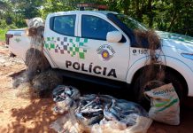 Homens são autuados em R$ 3,8 mil por pesca predatória