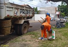 Mutirão da dengue tira 19 caminhões de materiais na Zona Norte