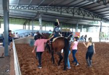 Centro de equoterapia do 8º BAEP retoma atividades nesta segunda-feira