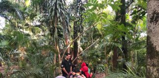 Dia Mundial da Água terá programação no Horto Florestal