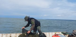 Pescador profissional é multado em R$ 1.024 por não respeitar legislação em Presidente Epitácio