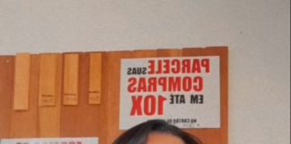 Funcionários de madeireira de Venceslau usam o vídeo marketing como ferramenta de negócio