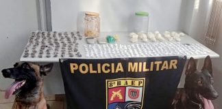 Polícia Militar encontra entorpecentes enterrados em mata no Jardim Cobral