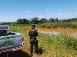 Polícia Ambiental autua fazenda em R$ 1,6 mil por intervenção em área de preservação