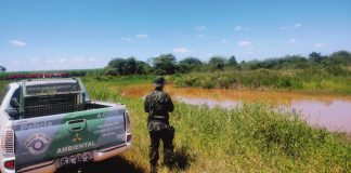 Polícia Ambiental autua fazenda em R$ 1,6 mil por intervenção em área de preservação