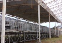 FAIVE: Empresário venceslauense desiste de licitação e empresa de fora irá gerenciar recinto