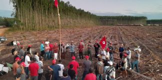 Aumenta preocupação com invasões de terras entre proprietários rurais