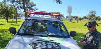 Homem é multado em R$ 1 mil por pescar peixes ameaçados de extinção em Rosana