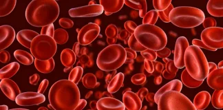 DR. PAULO MARTINS COLUNA: Coleta de sangue capilar – novo método para promover o acesso ao NIPS
