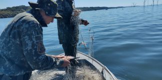 Polícia Ambiental multa pescador por usar método proibido de pesca em Epitácio