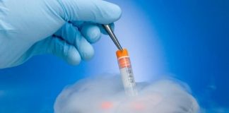 MATERNIDADE: estudo preserva a fertilidade em pacientes com câncer de colo de útero