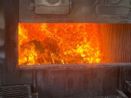 Polícia Civil de Inúbia Paulista incinera 550 Kg de drogas