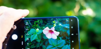 Sesc Thermas abre inscrições para cursos de fotografia, ilustração e costura