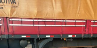 PF e PM de São Paulo realizam prisão em flagrante por tráfico de drogas