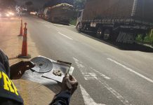 Motorista de caminhão de Álvares Machado carregado de batata-doce é autuado por uso de “rebite”