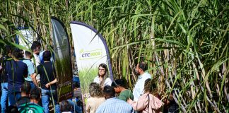 Workshop abre debate sobre cana-de-açúcar em solos arenosos