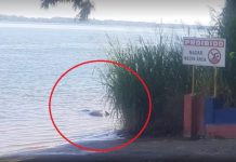 Corpo de homem não identificado entre 50 a 60 anos é encontrado no Rio Paraná