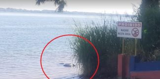 Corpo de homem não identificado entre 50 a 60 anos é encontrado no Rio Paraná