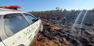 Assentada recebe multa de R$ 1.180,00 por realizar queimada em pasto