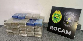 Homem que trazia 17 quilos de maconha para Presidente Prudente é preso em Cáscavel