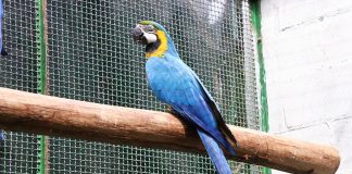 PRUDENTE: Governo de SP vai contruir Centro de Triagem e Recuperação de Animais Silvestres