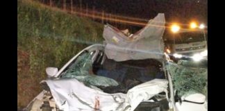 Carro atinge animal bovino entre Indiana e Martinópolis