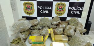 Polícia Civil apreende R$ 1,7 milhão em drogas em fundo falso de ônibus