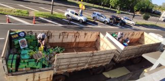 Polícia Rodoviária e PF prendem motorista carregando 5,8 toneladas de maconha