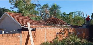 VENCESLAU: Galho de eucalipto cai por cima de casa durante poda