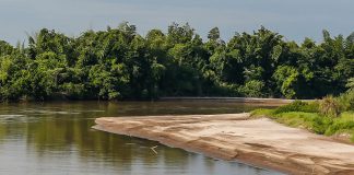 Oeste Paulista ganhará duas Promotorias Regionais do Meio Ambiente