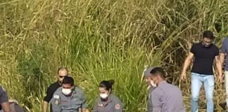 Mulher desaparecida é encontrada em matagal às margens da rodovia Assis Chateaubriand