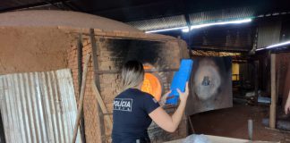 Polícia Civil incinera 26 Kg de drogas apreendidas em Dracena