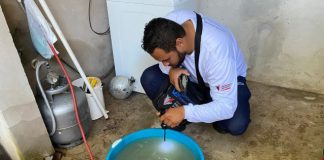 DENGUE: Indice de infestação predial em Prudente coloca cidade em estado de alerta