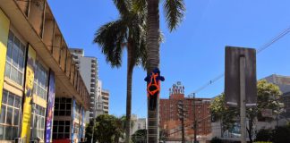 Prefeitura e Feapp divulgam programação de Natal em Prudente