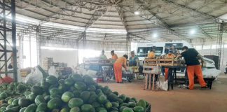 17ª entrega do PAA repassa 18 toneladas de alimentos a 33 entidades de Prudente