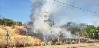 Incêndio em área verde cria coluna de fumaça na zona norte