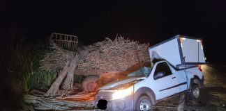 Tratorista morre ao ser atingido por veículo a 160 Km de Prudente