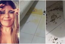 Bruna Surfistinha é indiciada por abandonar animais em apartamento sem água e comida
