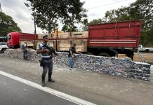 TACIBA: Mais de 3 toneladas de maconha são apreendidas em ação das Polícias Civil e Militar