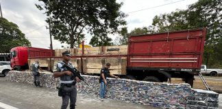 TACIBA: Mais de 3 toneladas de maconha são apreendidas em ação das Polícias Civil e Militar