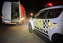 Polícia Rodoviária apreende 1,5 tonelada de maconha