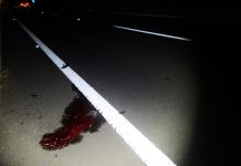 Homem de 66 anos é atropelado e morre na rodovia Assis Chateaubriand