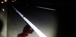 Homem de 66 anos é atropelado e morre na rodovia Assis Chateaubriand