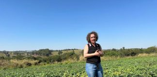 Na Batatec 2024, produtores e consumidores têm a oportunidade de conhecer novas variedades da Apta