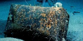 A curiosa história dos charutos que ficaram 134 anos no fundo do mar