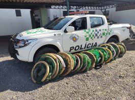 CAIUÁ: Fiscalização policial apreende 20 armadilhas proibidas para captura de iscas para pesca