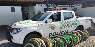 CAIUÁ: Fiscalização policial apreende 20 armadilhas proibidas para captura de iscas para pesca