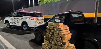 Polícia Militar Rodoviária apreende 98 Kg de maconha escondidos em pickup Corsa