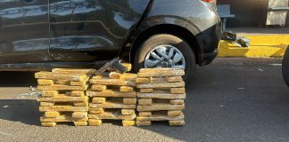 Polícia Rodoviária e Civil prendem homem transportando 59 tijolos de maconha